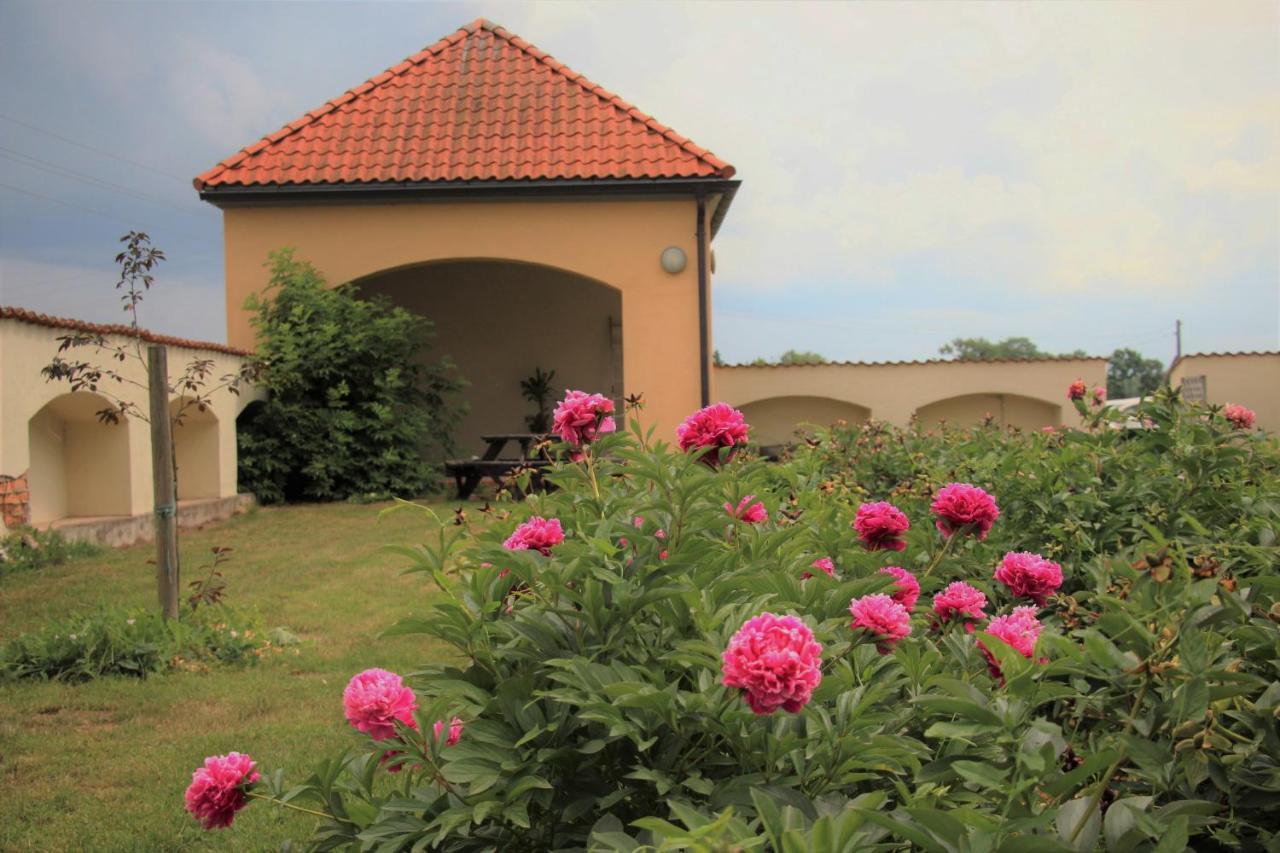 Blankenfeldes Muiza Hotel Tervete Exterior photo